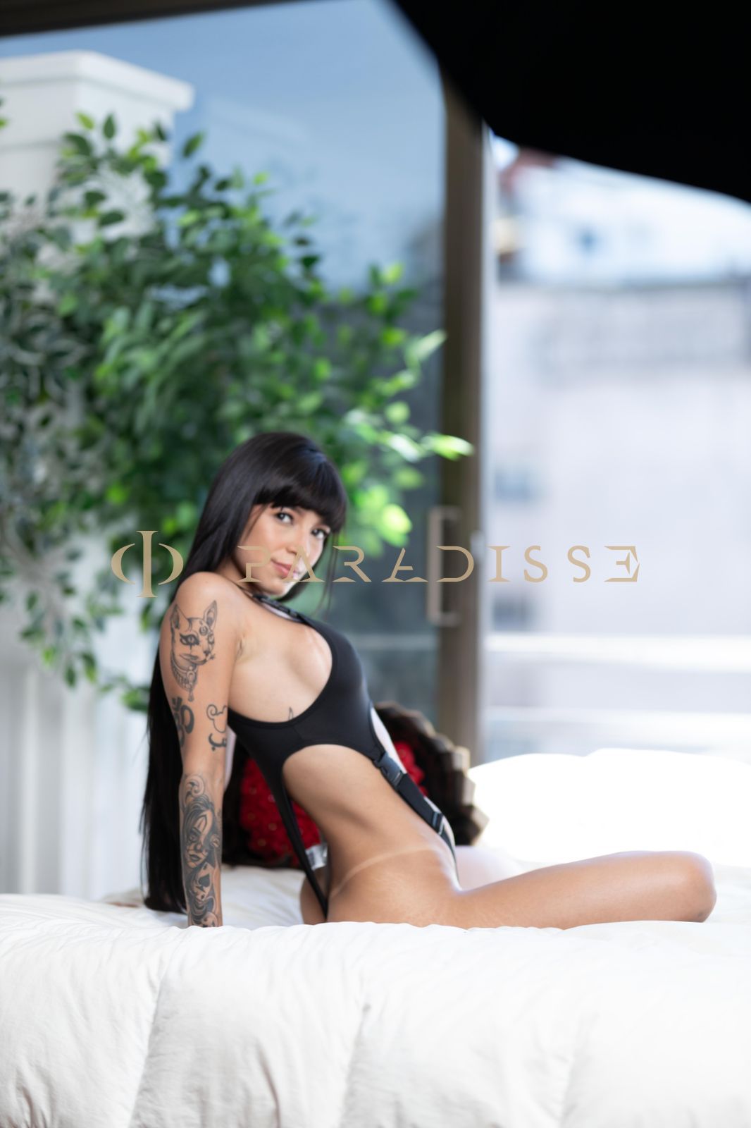 Escorts VIP Paradisse - Kendal